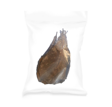 Catappa Leaves 15-25cm, 10 pcs/pk